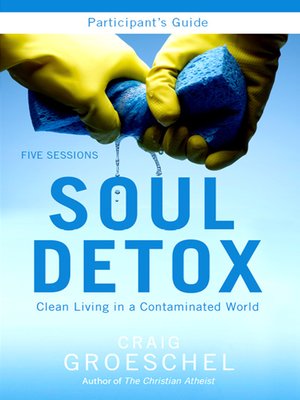 cover image of Soul Detox Participant's Guide